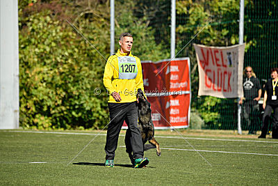 Kliff von der Friesenklippe