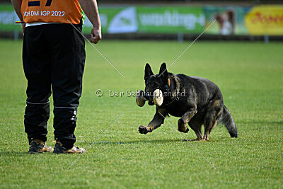 Klyff von der Lobdeburg