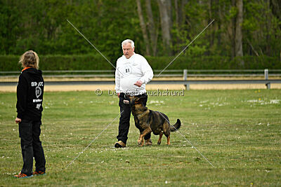 Klyff von der Lobdeburg