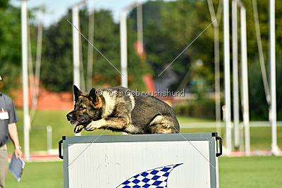 Kody vom Wolfsfriede