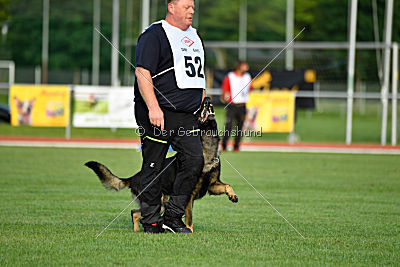 Kody vom Wolfsfriede