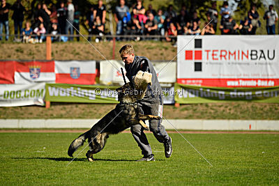 Kody vom Wolfsfriede