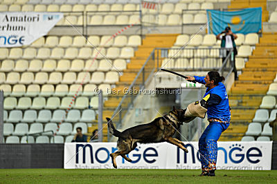 Kody vom Wolfsfriede