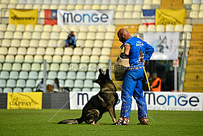 Kody vom Wolfsfriede