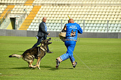 Kody vom Wolfsfriede