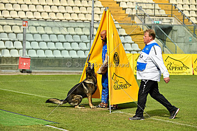 Kody vom Wolfsfriede