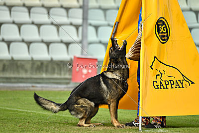 Kody vom Wolfsfriede