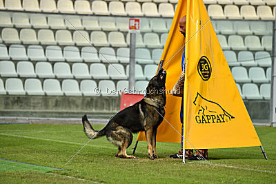 Kody vom Wolfsfriede