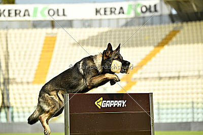 Kody vom Wolfsfriede