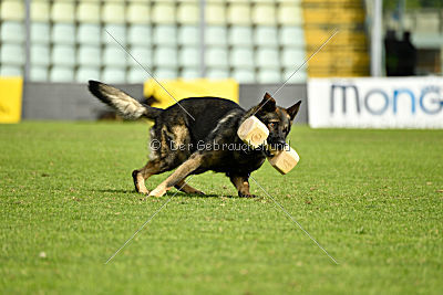 Kody vom Wolfsfriede