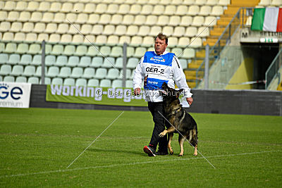 Kody vom Wolfsfriede