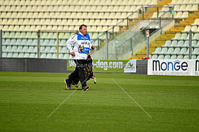 Kody vom Wolfsfriede