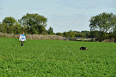 Kody vom Wolfsfriede