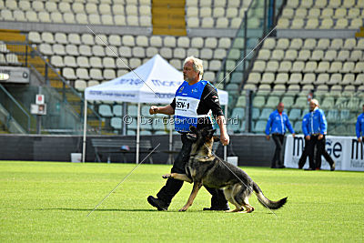 Kongeskoven's Skater