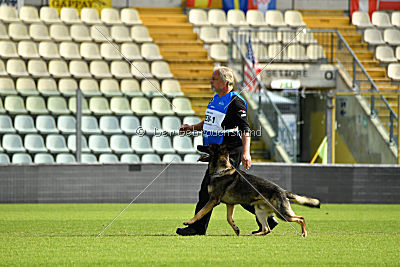 Kongeskoven's Skater