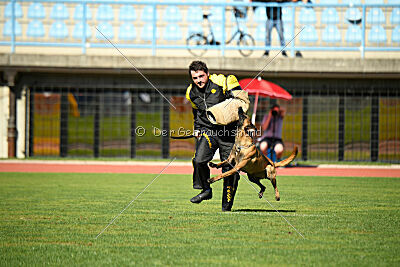 Kora von Weibrusslandkirschental