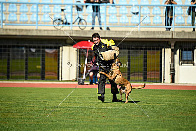 Kora von Weibrusslandkirschental