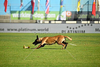 Kora von Weibrusslandkirschental