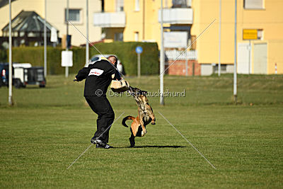 Kosta vom Brunsbeker Land