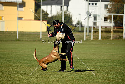 Kosta vom Brunsbeker Land