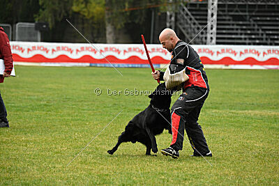 Kreacher von der Eisenkaute