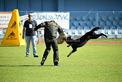 Kurtz von den Heldensage