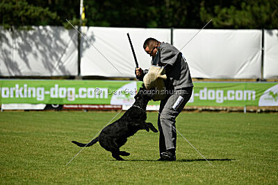 Lakritze von Elberfeld