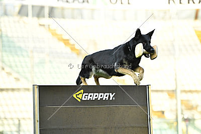 Laly du Clos de l'Abbaye