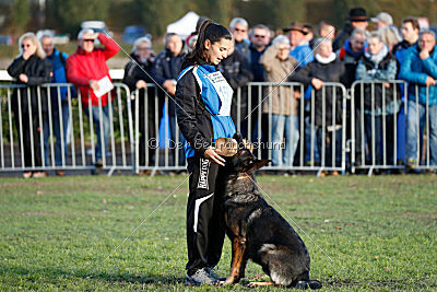 Lamar vom Wolfsheim