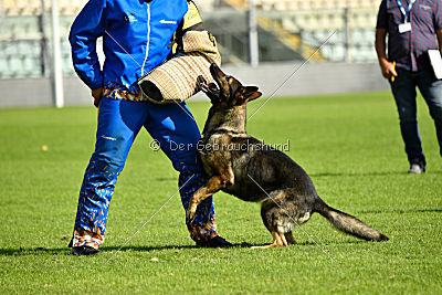 Lana du Triangle Magique