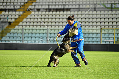 Lana du Triangle Magique