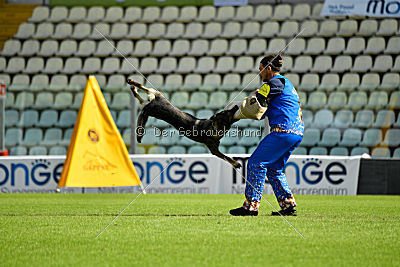 Lana du Triangle Magique