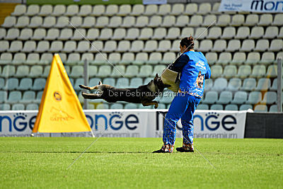 Lana du Triangle Magique