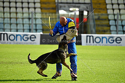 Lana du Triangle Magique