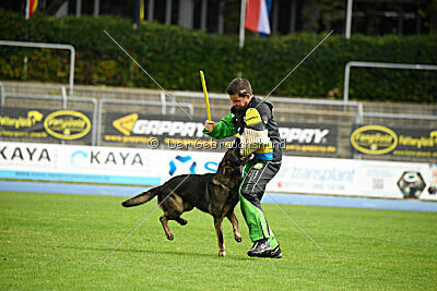 Larcos vom Timmelsjoch