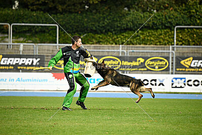 Larcos vom Timmelsjoch