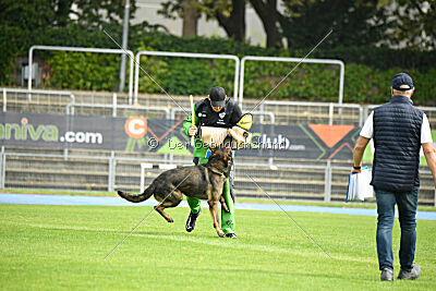 Larcos vom Timmelsjoch