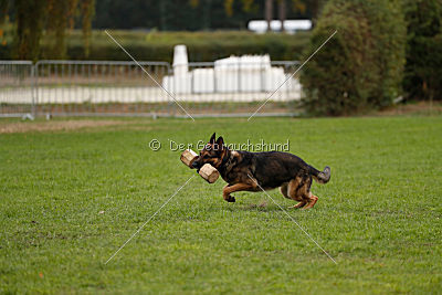 Lasko vom Klüttenplatz
