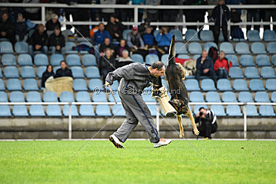 Lasko vom Klüttenplatz