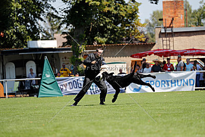 Lasse vom Goldbergsee