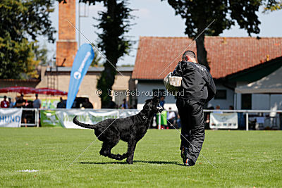 Lasse vom Goldbergsee
