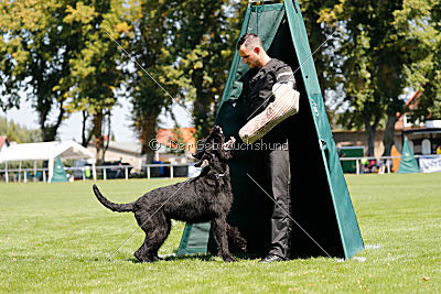 Lasse vom Goldbergsee
