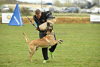 Latissimus vom Causa Nostre Letitia