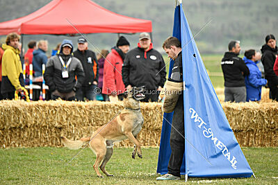 Latissimus vom Causa Nostre Letitia