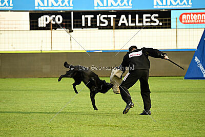 Lauser vom Regnitztal