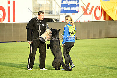 Lauser vom Regnitztal