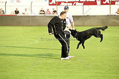 Lauser vom Regnitztal