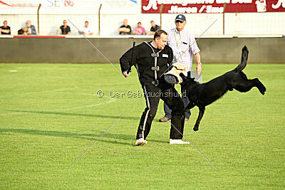 Lauser vom Regnitztal