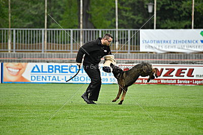 Lee Roy ze Stribrneho kamene