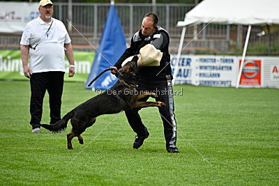 Lee Roy ze Stribrneho kamene